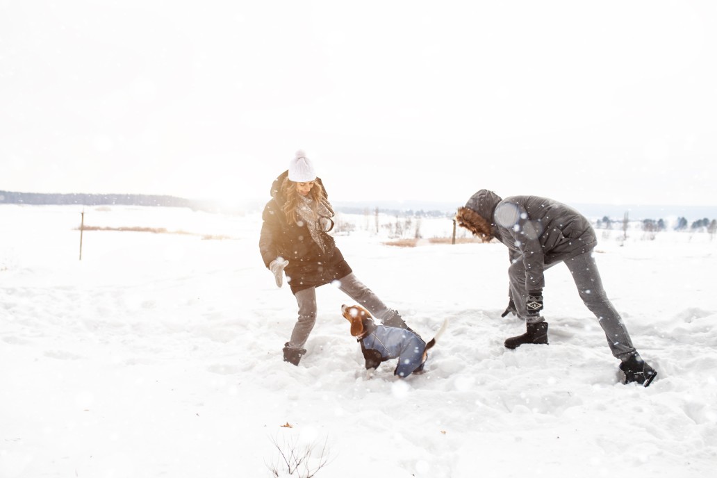 jugando con perro en la nieve