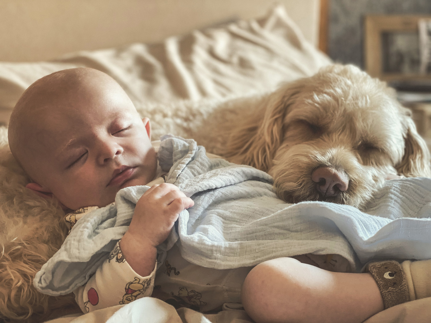 bebé y perro durmiendo placidamente juntos