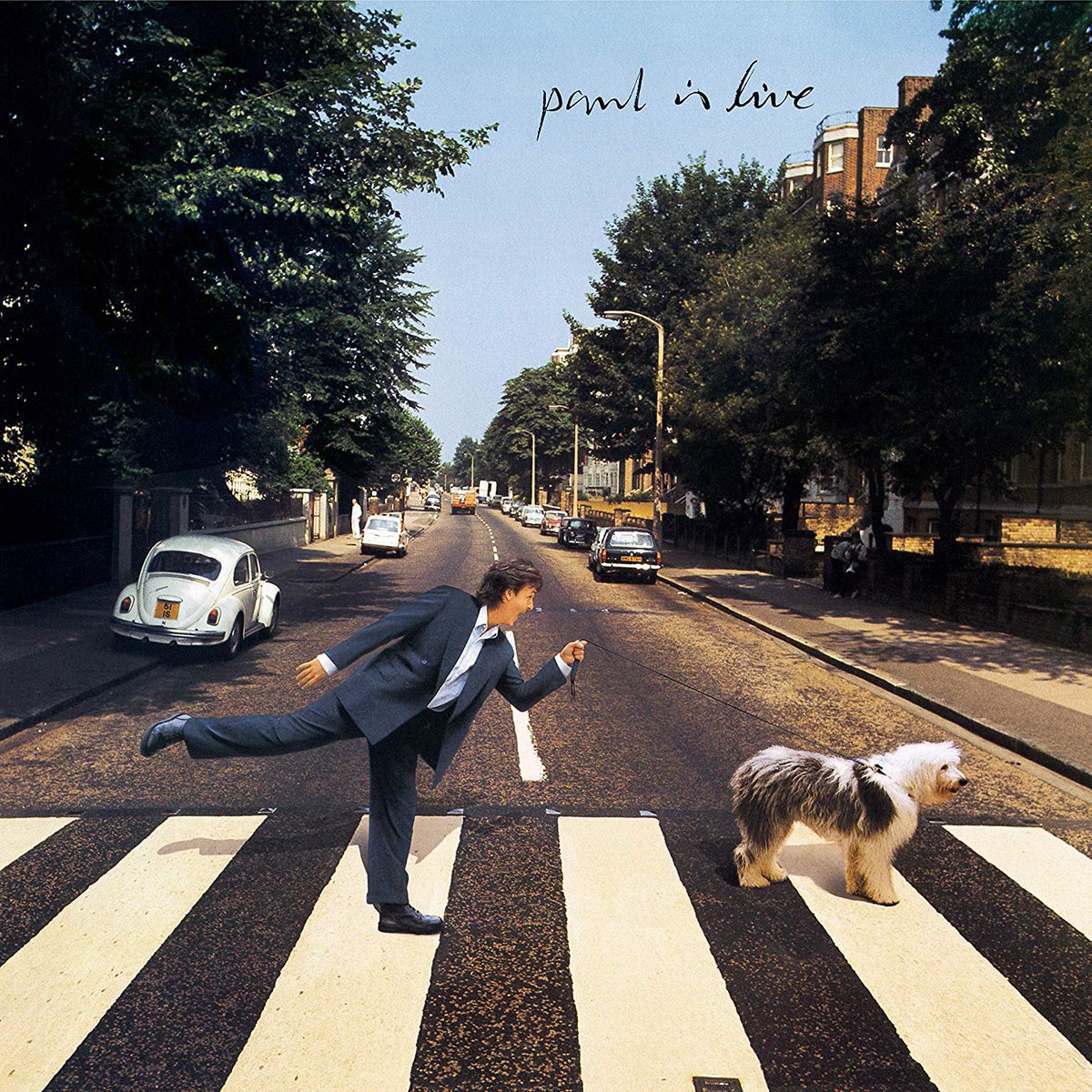 Portada "Paul Is Live" McCartney y su perro Arrow, hijo de Martha