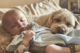 bebé y perro durmiendo placidamente juntos